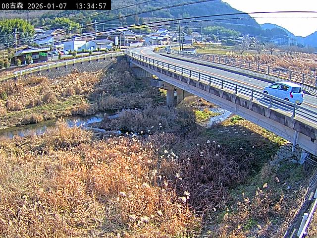 最新監視カメラ画像