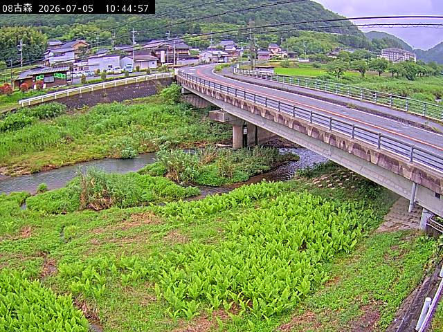最新監視カメラ画像