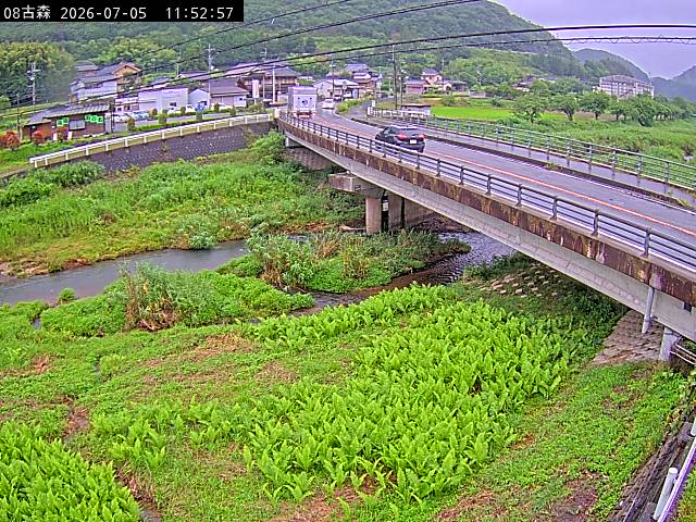 最新監視カメラ画像