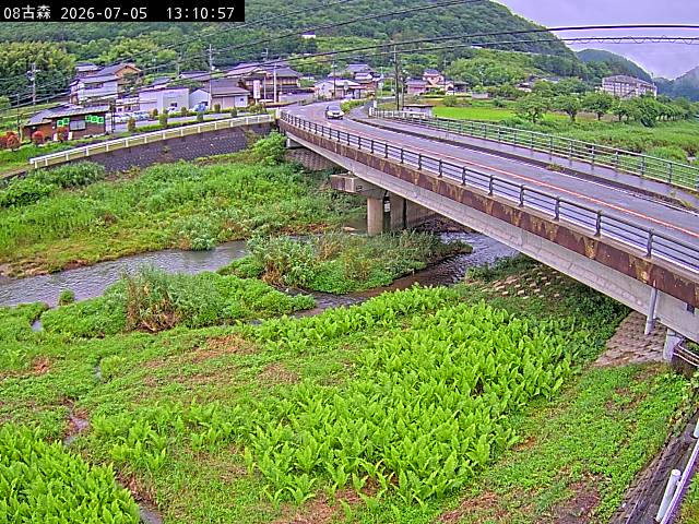最新監視カメラ画像