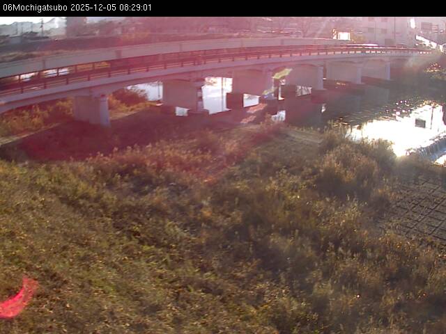 最新監視カメラ画像