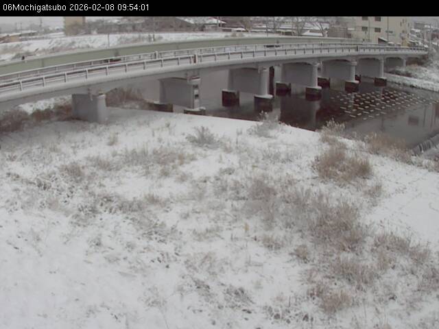 最新監視カメラ画像