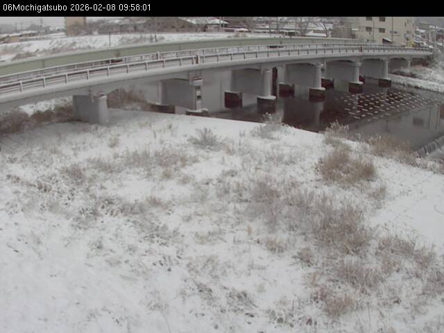 最新監視カメラ画像