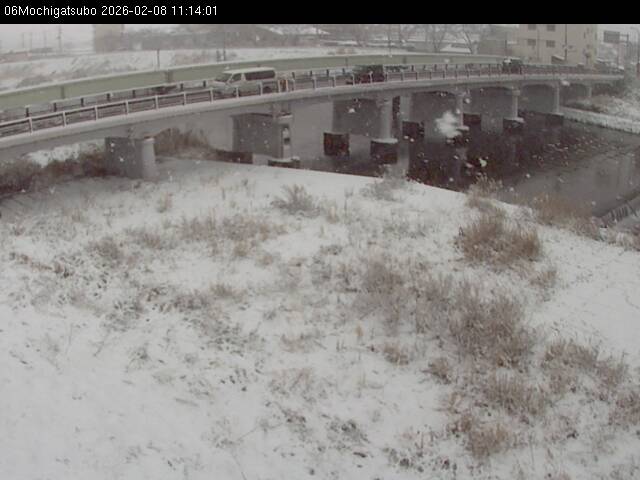 最新監視カメラ画像