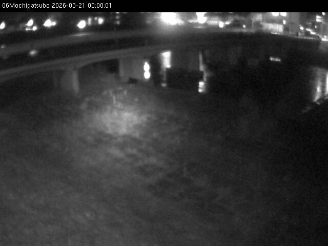 最新監視カメラ画像