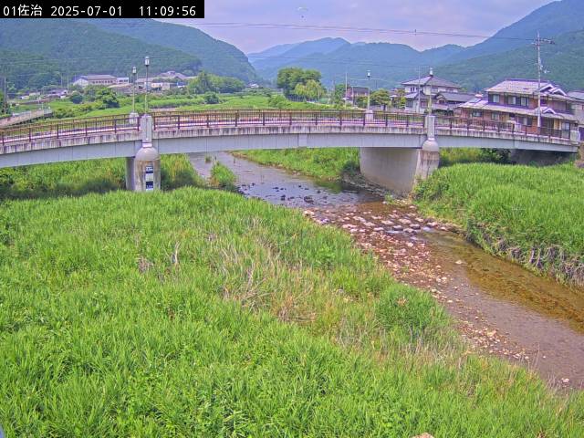 最新監視カメラ画像