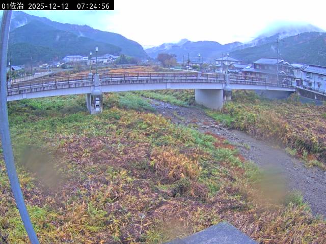 最新監視カメラ画像