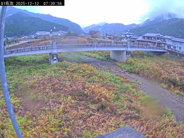 最新監視カメラ画像