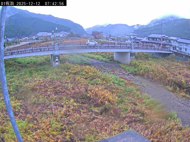 最新監視カメラ画像