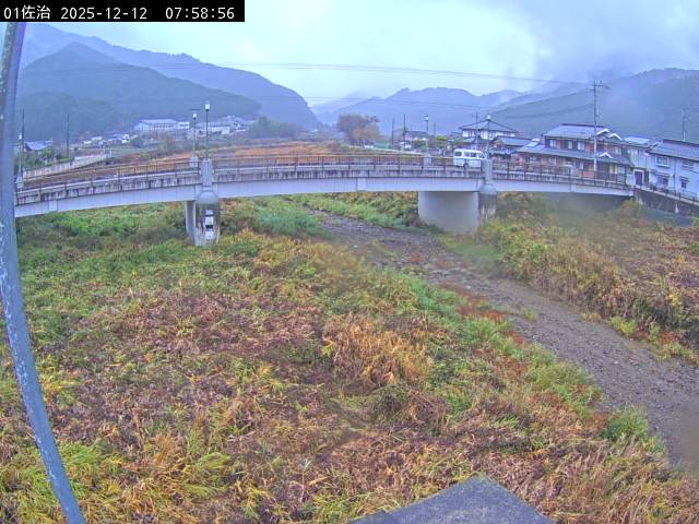 最新監視カメラ画像