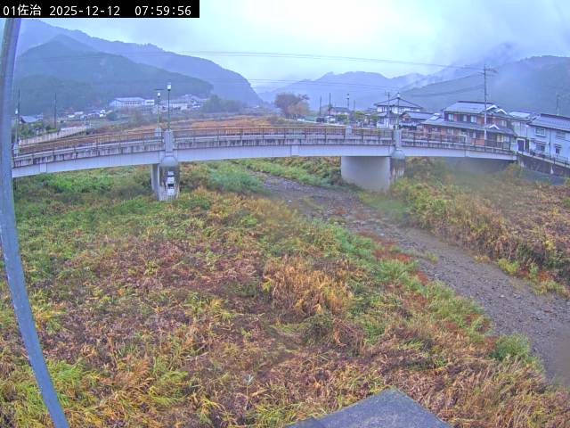 最新監視カメラ画像