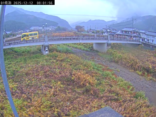 最新監視カメラ画像