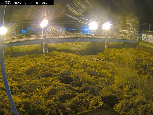 最新監視カメラ画像