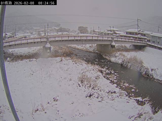 最新監視カメラ画像