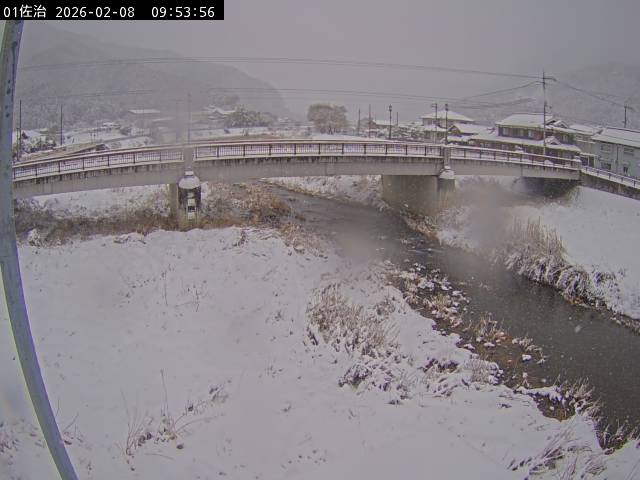 最新監視カメラ画像