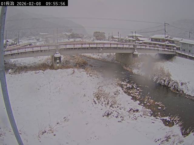 最新監視カメラ画像