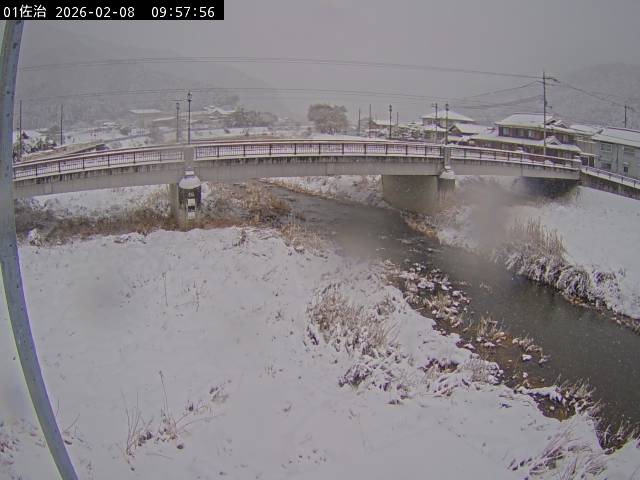 最新監視カメラ画像