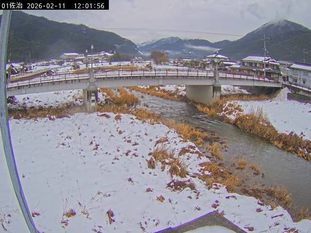 最新監視カメラ画像