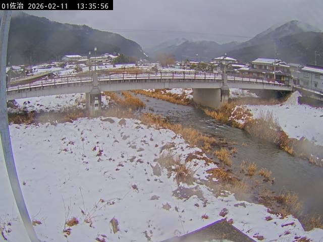 最新監視カメラ画像