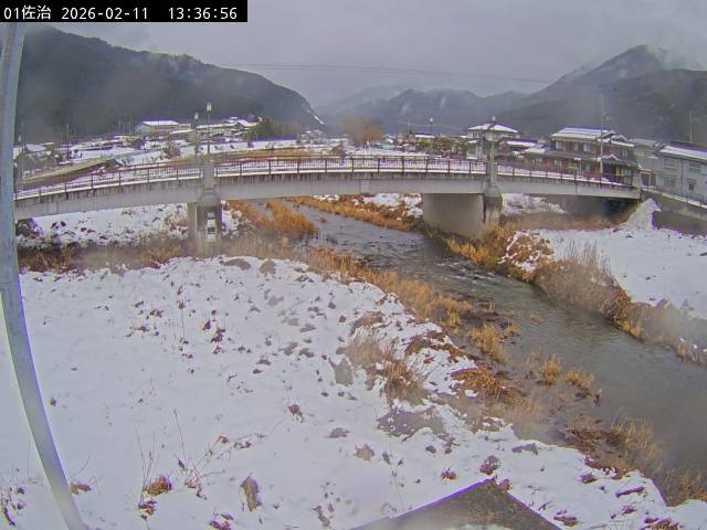 最新監視カメラ画像