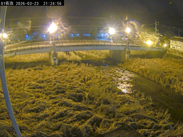 最新監視カメラ画像