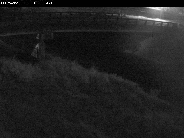 最新監視カメラ画像