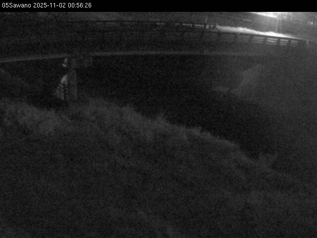 最新監視カメラ画像