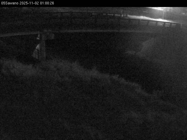 最新監視カメラ画像