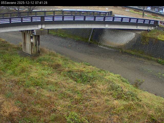 最新監視カメラ画像