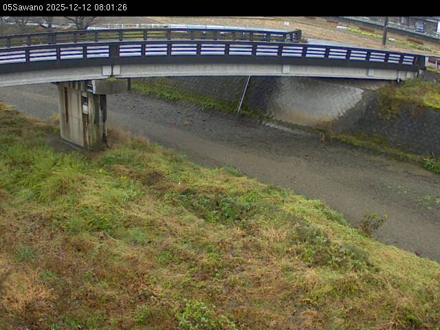 最新監視カメラ画像