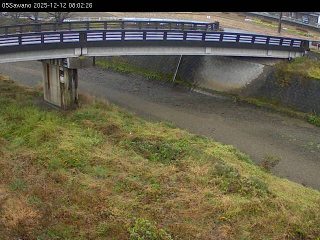 最新監視カメラ画像