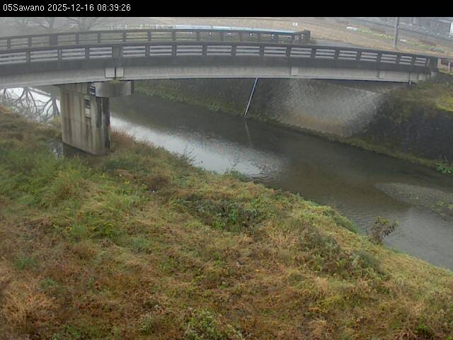 最新監視カメラ画像