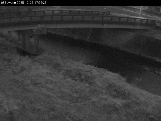 最新監視カメラ画像