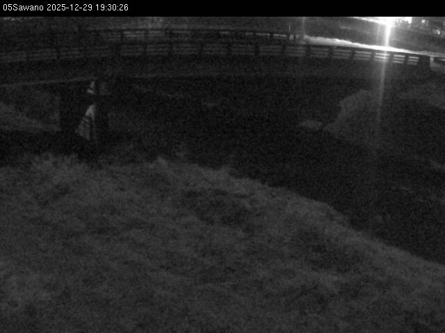 最新監視カメラ画像