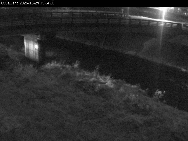 最新監視カメラ画像