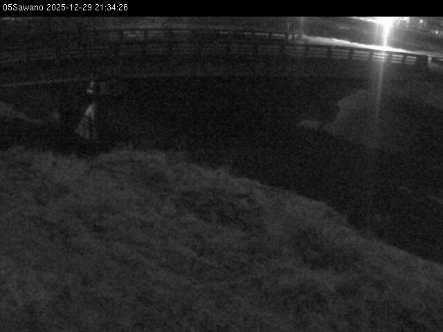 最新監視カメラ画像