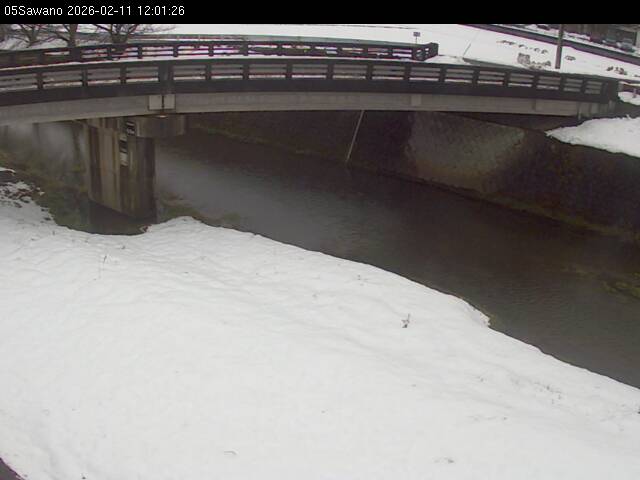 最新監視カメラ画像