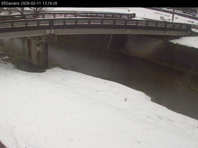 最新監視カメラ画像