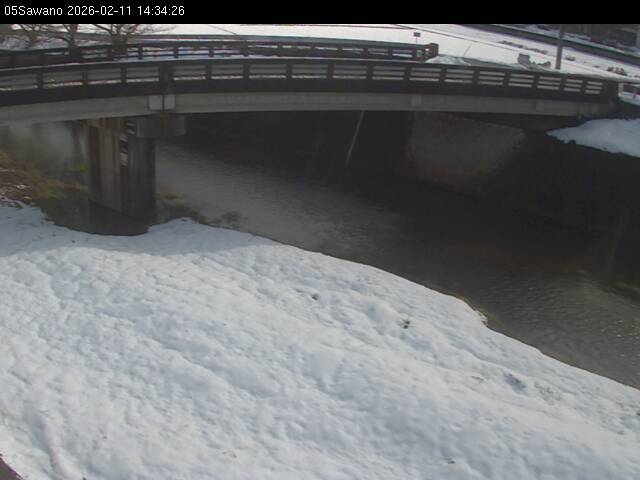 最新監視カメラ画像