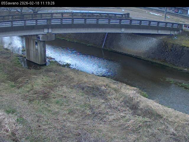 最新監視カメラ画像