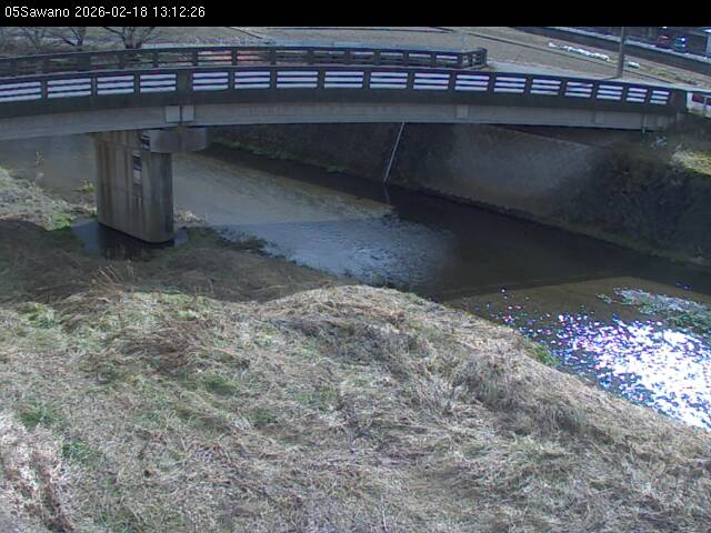 最新監視カメラ画像