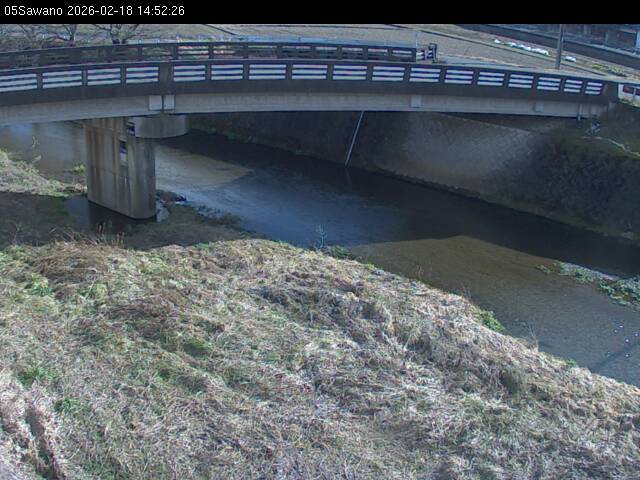 最新監視カメラ画像