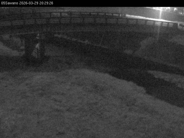 最新監視カメラ画像