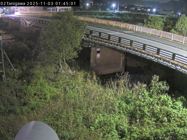 最新監視カメラ画像