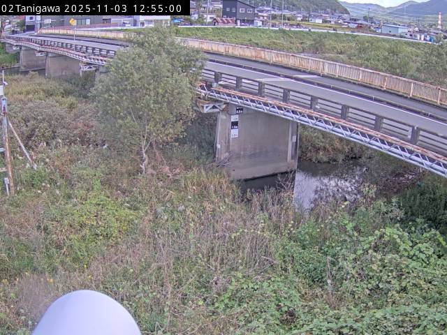 最新監視カメラ画像