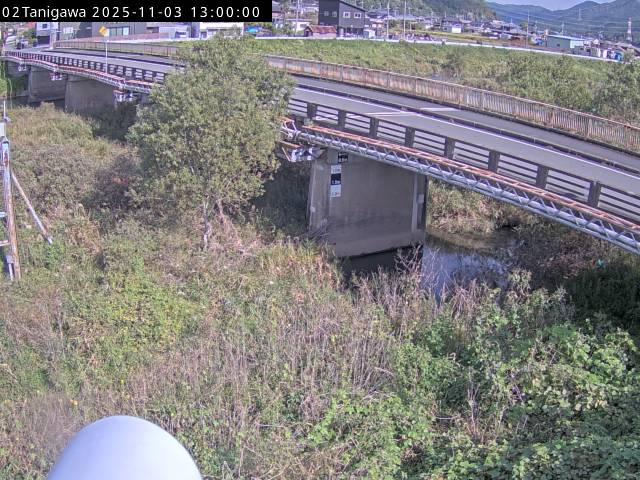 最新監視カメラ画像