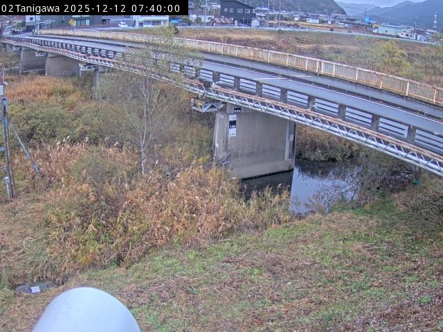 最新監視カメラ画像