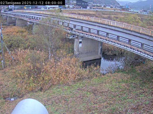 最新監視カメラ画像