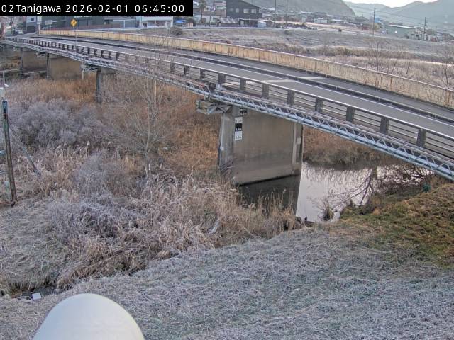 最新監視カメラ画像