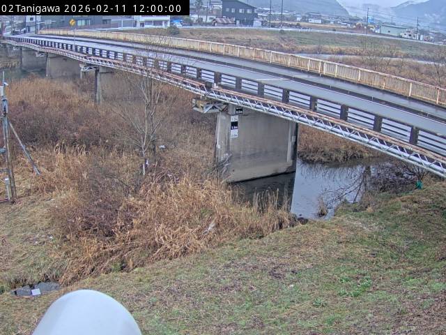 最新監視カメラ画像